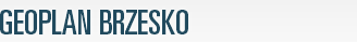 Pracownia Geodezyjna Geoplan Brzesko